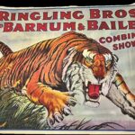 Ringling Bros and Barnum & Bailey Combined Shows circus poster with pouncing tiger